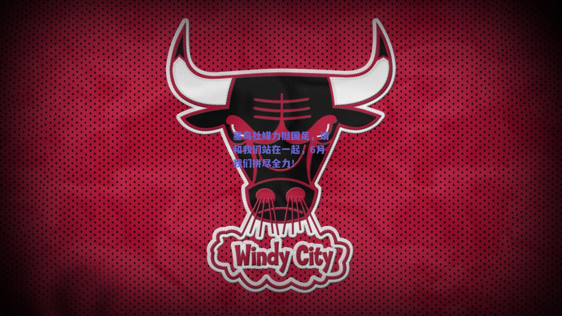 塞鸟社媒力挺国足，请和我们站在一起，6月我们拼尽全力！