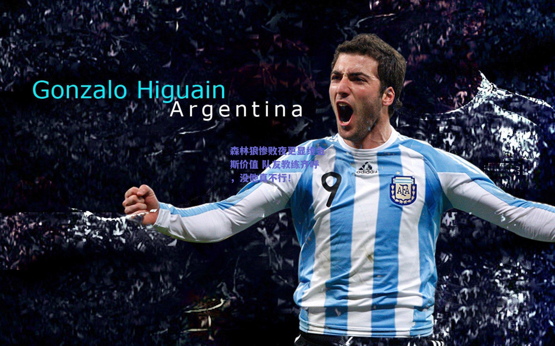 森林狼惨败夜更显维金斯价值 队友教练齐呼,没他真不行!