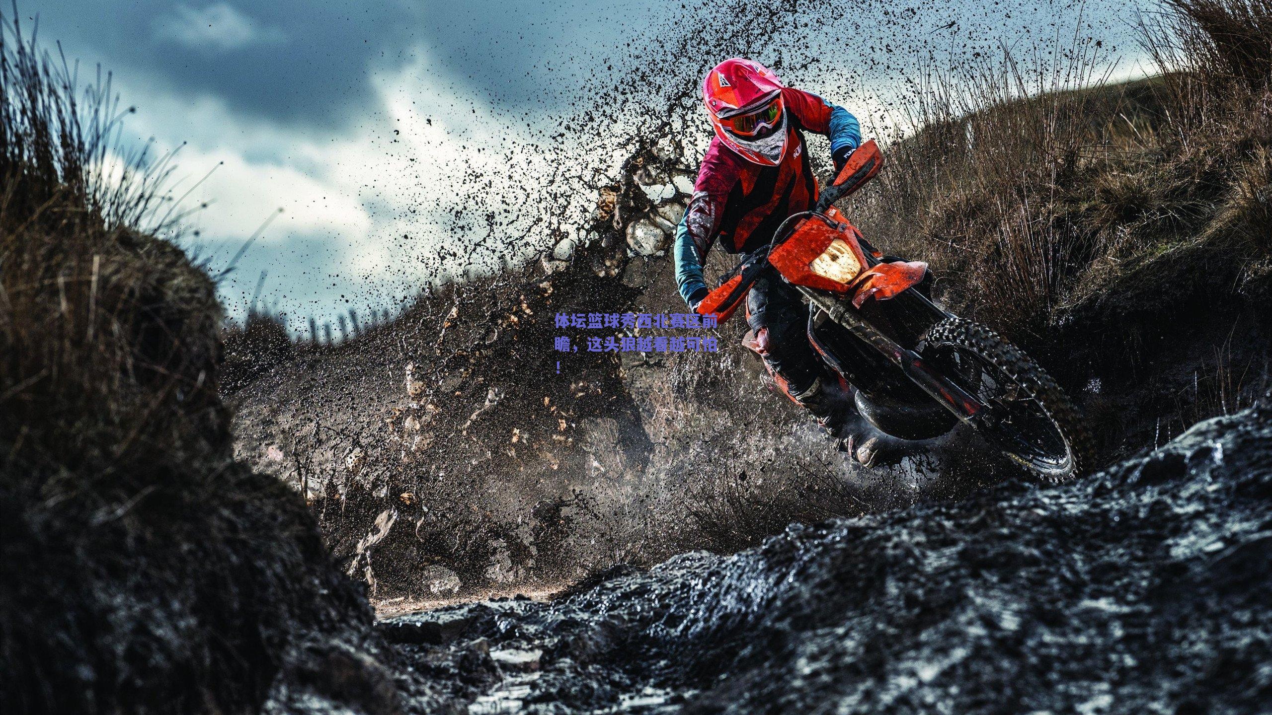 体坛篮球秀西北赛区前瞻,这头狼越看越可怕!